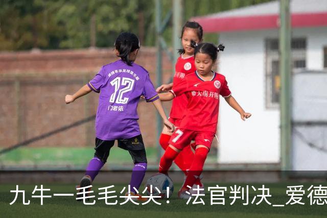 九牛一毛毛尖尖！法官判决 爱德华兹每月需支付3222美元抚养费