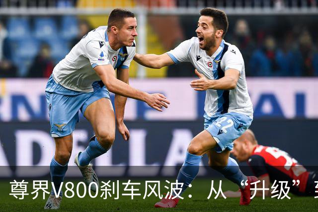 尊界V800刹车风波：从“升级”到“安全”，这出戏如何收场？